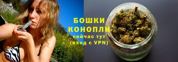 прущие крисы Богданович