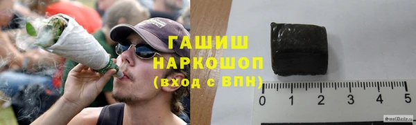 прущие грибы Вязники