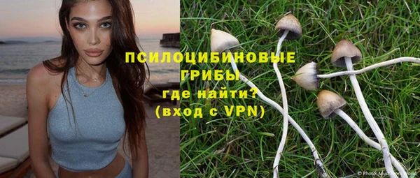 прущие крисы Богданович