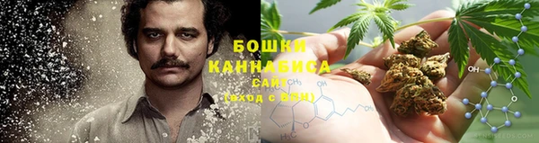 бошки Вяземский