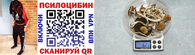Галлюциногенные грибы ЛСД  Кузнецк 